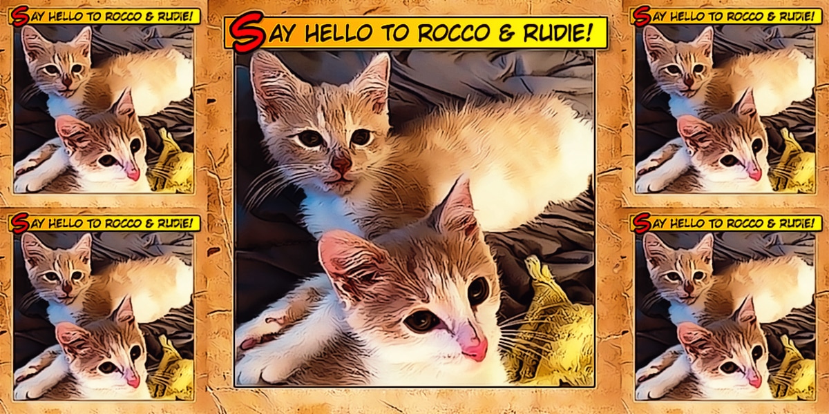 Say Hello To Rocco & Rudie 53
